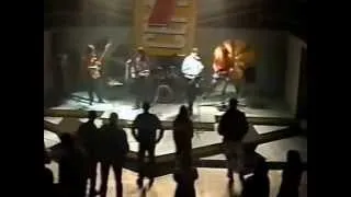 Арахнофобия Live  2003