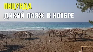 ПИЦУНДА В НОЯБРЕ | Дикий пляж в ноябре | Субтропическое побережье Черного моря