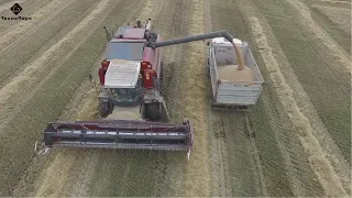Уборка пшеницы зерноуборочный комбайн КЗС-1218 «ПАЛЕССЕ GS12»