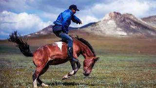 ХАНГАЙН МАЛЧДЫН АХУЙ АМЬДРАЛ