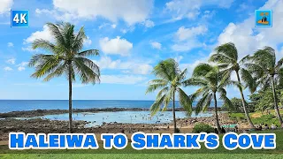 Oahu North Shore Driving 🌈 Haleiwa Historic Town to Shark's Cove ⛱️ 4K