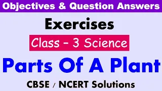 Parts Of A Plant | Class : 3 | Science | Exercises and Question Answers| CBSE / NCERT |