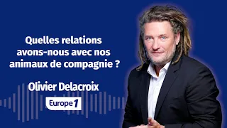 Olivier Delacroix - Quelles relations avons nous avec nos animaux de compagnie  ?