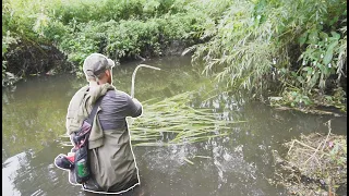 Hidden Woodland Stream Has Big Fish! New PB?!