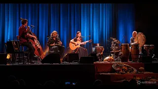 Guacamayo - Danit & Friends Live 2019