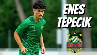 Enes Tepecik • Rapid Wien • Highlights Video (Goals, Assists, Skills)