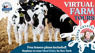 Virtual Farm Tour – Ideal Dairy