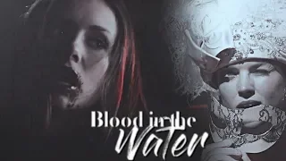 ✘ MultiPsycho | Blood in the water