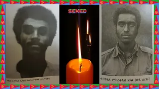 "እትሓለብብ እታ መሐለል ታባ" Eritrean Fighters True history ካብ ቅያታት መራሕቲ ኲናት ኢሰያስ ወዲ ፍላንሳን ምሕረትኣብ ወዲ ጨጊርን