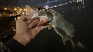 Pescaria na Beira Mar de FLORIANÓPOLIS - Pesca ultralight nas pedras de robalos