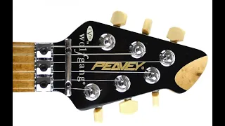 История гитар Peavey