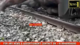 Elefant injured by train..very sad moment