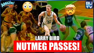 Larry Bird Nutmeg Passing Montage & Analysis | Larry Bird Between The Legs Passing Mixtape