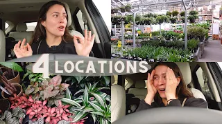 Houseplant Shopping at Big Box Stores! | Lowe's Plant Shopping! Home Depot Plant Shopping!