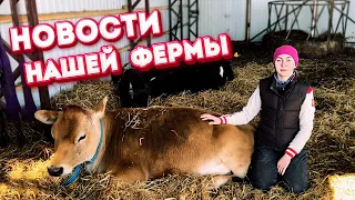 Весна - Время Продаж и Покупок! | Молодая Ферма