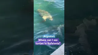 Where can I see turtles in Kefalonia? #travel #travelvlog #kefalonia