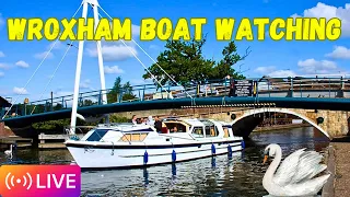 Live From Wroxham Bridge Norfolk Broads UK Boats Wildlife Scenery River Fishing Spots