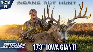 Iowa Booner Snort Wheezed Into 8 Yards | Hunting The Rut | Dream Season Live