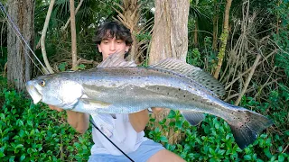 SECRET Backwater Fishing With LIVE MULLET