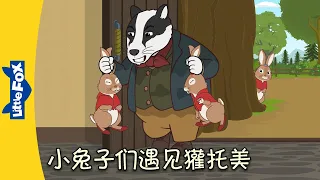 彼得兔和朋友们 - 小兔子们遇见獾托美 (Peter Rabbit -The Bunnies Meet Tommy Brock) | 中文字幕 | Classics | Chinese Stories