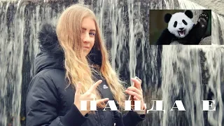 ПАНДА Е | АНАСТАСИЯ ГОМАН | COVER CYGO - PANDA E