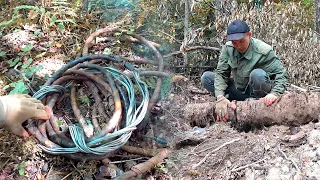 ОГО! ЗАЛЕЗ В КУСТЫ И РУКИ ЗАТРЯСЛИСЬ ОТ НАХОДКИ!