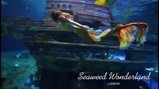 Explore underwater shipwrecks with the mermaid