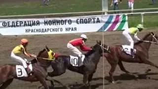 6 скаковой день, 21 июня 2014 г