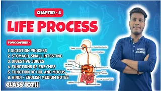 Life Processes (Free class 3) - Ncert Chapter 5 | Class 10th 🔥💯