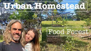 Planting a Food Forest on our Urban Homestead ep 30