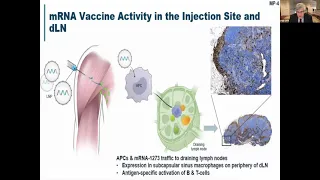 Pediatric Grand Rounds: “SARS-CoV-2 Vaccines: Where Do We Stand”