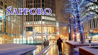 【4K Snowfall】SAPPORO at snow night.  #札幌 #大雪 #4K