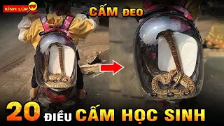 🔥 20 Thứ Học Sinh Bị Cấm Kỳ Lạ Và Bất Ngờ Nhất Thế Giới Mà 99% Bạn Không Biết I Kính Lúp TV