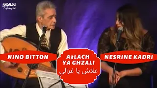 A3lach ya ghzali-Nesrine rend hommage à l'immense Salim Halali