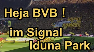 Heja BVB Borussia Dortmund【ボルシア・ドルトムント 応援歌】DANKE ROMAN！