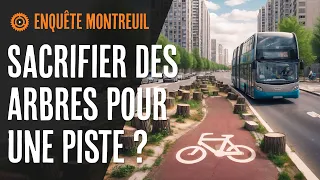 Des arbres abattus pour une piste cyclable à Montreuil ?