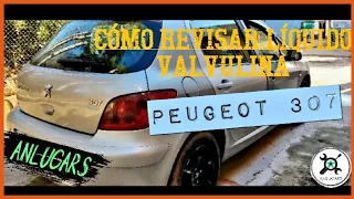 🔧Revisar VALVULINA (aceite caja de cambios) Peugeot 307 1.6i ‼️