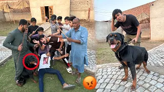 Rottweiler Ky Picha Larai Ho Gai 😡 Mamu Ko Mara 😰