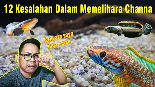 CATAT! 12 KESALAHAN DALAM MEMELIHARA CHANNA...