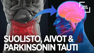 Suolistomikrobien ja aivojen yhteys Parkinsonin taudissa | Filip Scheperjans