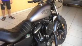 Harley Davidson iron 883 2016