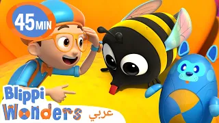 🍯🐝النحلة والعسل | بليبي بالعربي | برنامج تعليمي للصغار - Honey🍯🐝