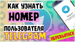 Как узнать номер телефона собеседника в телеграм // Коротко про // Перевыпуск