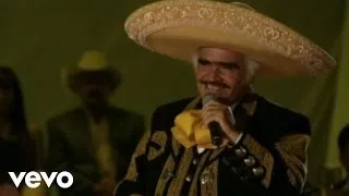 Vicente Fernández - Por un Amor (En Vivo)