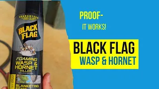 Black Flag Wasp and Hornet Spray/ Proof it works!