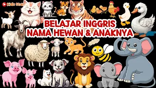 BELAJAR BAHASA INGGRIS NAMA ANAK HEWAN | BELAJAR NAMA HEWAN | EDUCATIONAL ANIMAL VIDEOS ANIMALS NAME