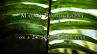 MACRO PHOTOGRAPHY on a mid range ZOOM LENS | Sony a6400 Tamron 17-70