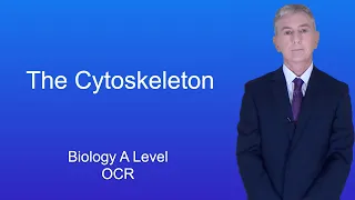 A Level Biology Revision "The Cytoskeleton (OCR)"