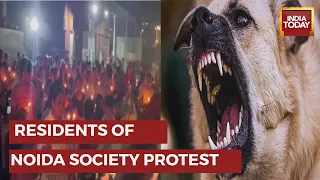 Candle March Protest By Locals Where An Infant Mauled To Death By Stray Dog In Noida Lotus Boulevard