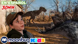 Los dinosaurios se mudan a California - 3 | @TRexRanchEspanol | Moonbug Kids